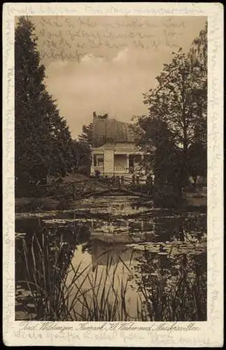 Ansichtskarte Bad Wildungen Kurpark Kl. Weiher und Musikpavillon 19216