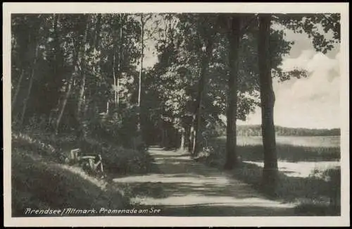 Ansichtskarte Arendsee (Altmark) Promenade am See 1940