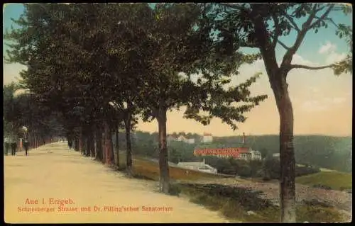 Ansichtskarte Aue (Erzgebirge) Schneebergerstrasse, Sanatorium 1912