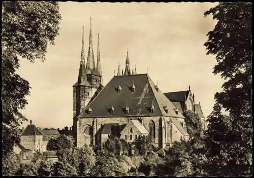 Ansichtskarte Erfurt Dom und Severikirche vom Petersberg Fotokarte 1960