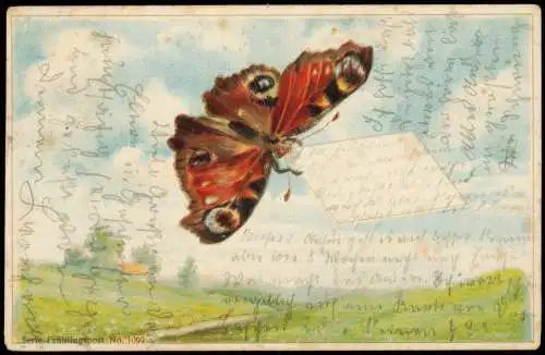 Ansichtskarte  Künstlerkarte Frühlingspost Schmetterling mit Brief 1903