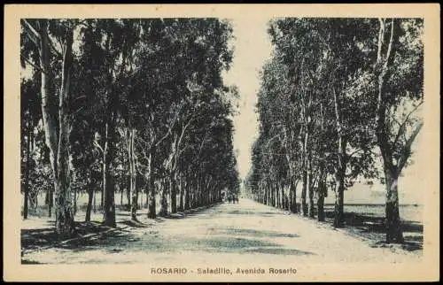 Postcard Rosario Allee Straße, Saladillo Avenida Rosario 1920