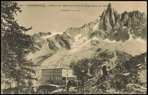 CPA Chamonix-Mont-Blanc Hôtel du Montanvert & Aiguilles du D. 1900