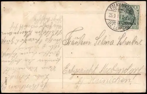 Ansichtskarte  Botanik :: Blumen Neleken Birkenholz Rahmen 1911 Passepartout