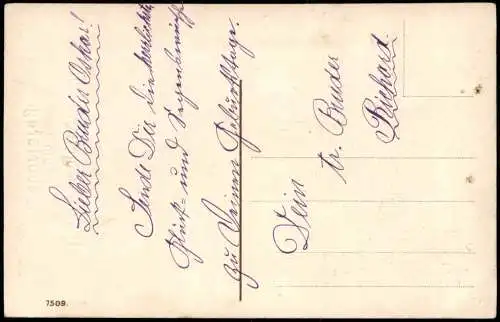 Ansichtskarte  Geburtstag Birthday Mädchen auf Blumenwiese 1917 Gold