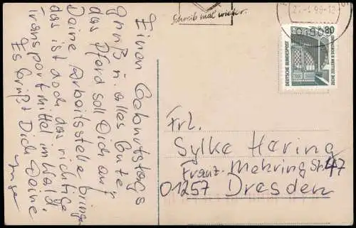 Ansichtskarte  Tiere - Pferde junge Frau schmiegt sich an Pferd 1996