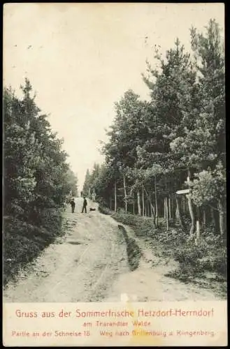 Herrndorf-Halsbrücke Tharandter Wald Schneise 18 nach Klingenberg 1914