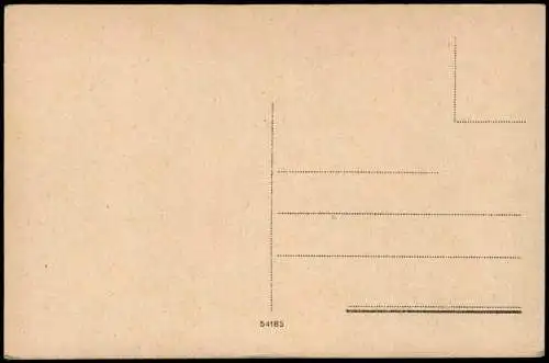 Cartolina Ravenna Pineta di Classe 1910