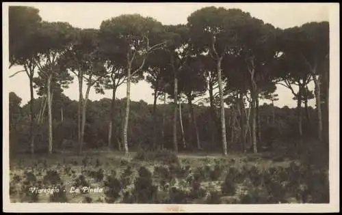 Cartolina Viareggio Ortsansicht La Pineta 1920