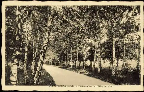 Ansichtskarte Oschersleben Birkenallee im Wiesenpark 1939