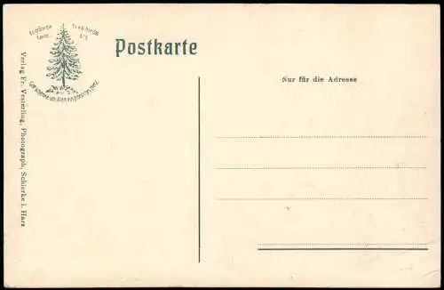 Ansichtskarte Schierke Panorama-Ansicht Blick auf Unter-Schierke i. Harz 1910