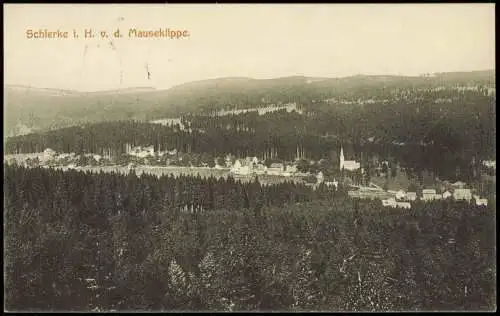 Ansichtskarte Schierke Panorama  v. d. Mauseklippe 1908   1.WK Feldpost