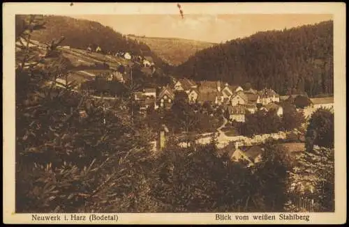 Neuwerk (Bodetal)-Rübeland Panorama-Ansicht Blick vom weißen Stahlberg 1929