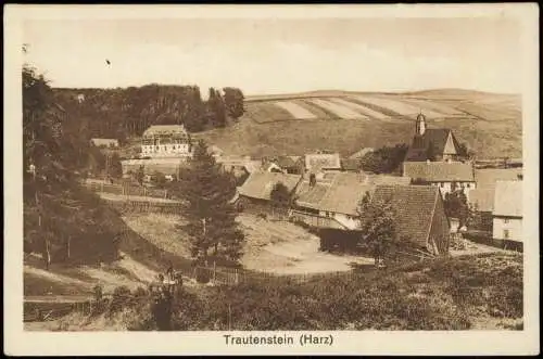 Trautenstein-Oberharz am Brocken Panorama-Ansicht Blick auf Höfe 1910