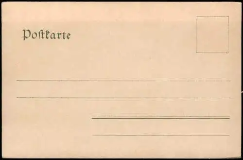Ansichtskarte Nassau (Lahn) Panorama-Ansicht Bad Nassau HELIOCOLORKARTE 1900