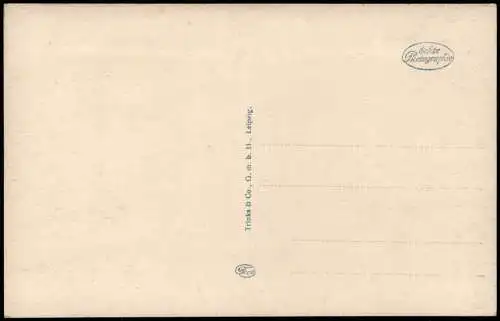 Ansichtskarte Bonn Partie im Botanischen Garten mit Schloß Poppelsdorf 1910