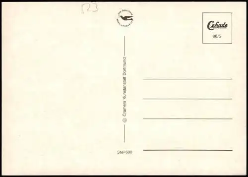 .Niedersachsen STEINHUDERMEER Landkarte (Map) Umgebungskarte 1988