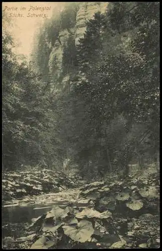 Ansichtskarte Hohnstein (Sächs. Schweiz) Partie im Polenztal 1913