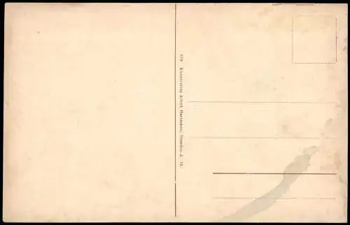 Ansichtskarte Hohnstein (Sächs. Schweiz) Partie im Polenztal 1913