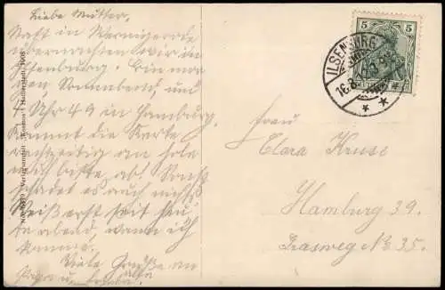 Ansichtskarte Ilsenburg (Harz) Ilsenburg Schloss - Häuser 1912