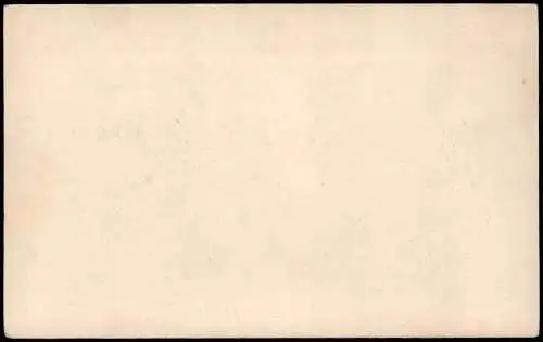 Reichenau an der Knieschna Rychnov nad Kněžnou   n. K. Celkový pohled 1910