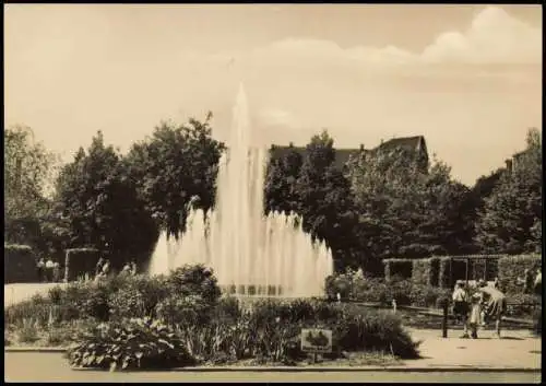 Ansichtskarte Chemnitz Schloßteichanlagen Schloßteich zur DDR-Zeit 1975