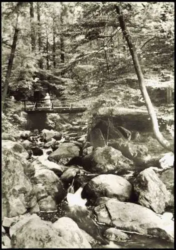 Rochsburg-Lunzenau Brausetal Blick ins Bodetal zur DDR-Zeit 1977