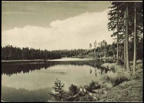 Ansichtskarte Jägersgrün-Tannenbergsthal (Vogtland) Der Vogtlandsee 1964