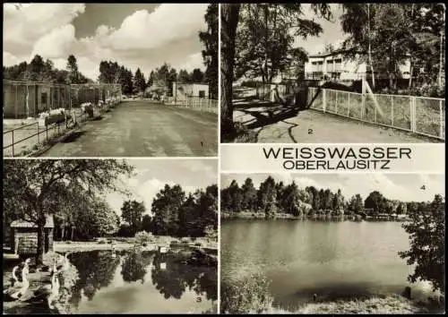 Weißwasser Oberlausitz Běła Woda Tierpark, Café, Gondelteich 1977