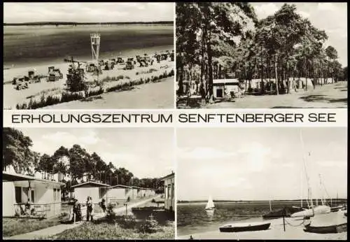 Senftenberg (Niederlausitz)   Senftenberger See Foto Ansichtskarte  1980