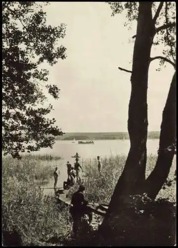 Scharmützelsee Wendisch-Rietz Kreis Beeskow Am Scharmützelsee zur DDR-Zeit 1965