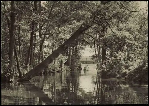 Ansichtskarte Wendisch Rietz Fließ zum Springsee Kr. Beeskow 1965