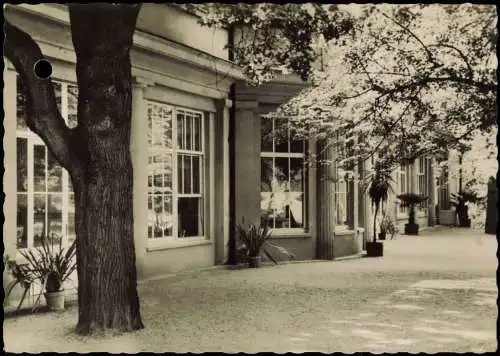 Ansichtskarte Bad Liebenstein Wandelhalle 1959