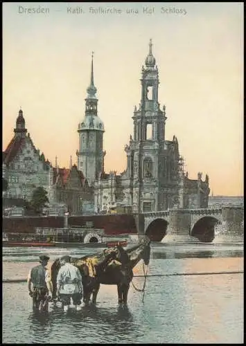 Altstadt Dresden REPRO: Hofkirche Dampfer, Albertrbrücke, Pferde  1900/2010