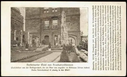 Ansichtskarte Chemnitz Versteinerter Wald 1927