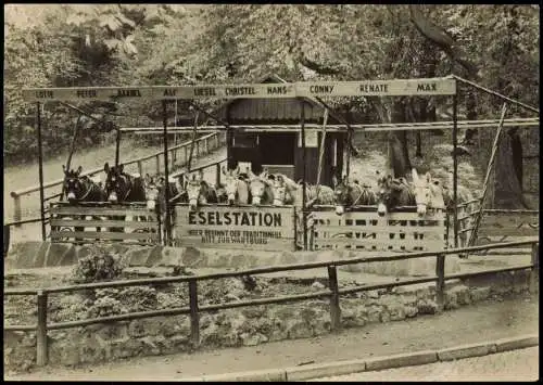 Ansichtskarte Eisenach Eselstation Esel Station (Tiere, DDR AK) 1969