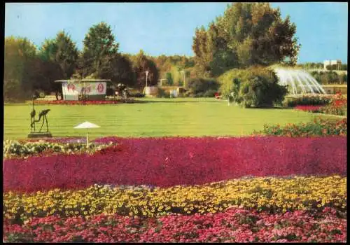 Ansichtskarte Erfurt Internationale Gartenbauausstellung Blumenwiese 1975