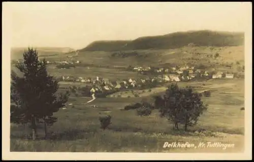 Ansichtskarte Delkhofen-Deilingen Blick auf Stadt Fotokarte Lk Tuttlingen 1940