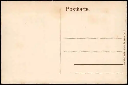 Ansichtskarte Rathen Sächsische Schweiz Blick von der Bastei 1913