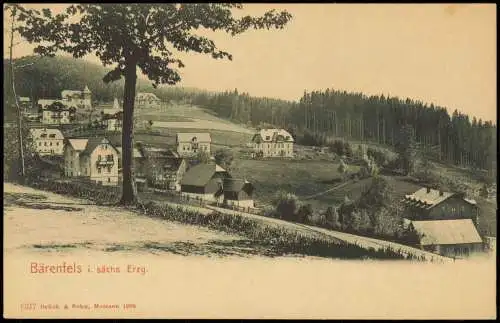 Ansichtskarte Bärenfels (Erzgebirge)-Altenberg (Erzgebirge) Stadtpartie 1905