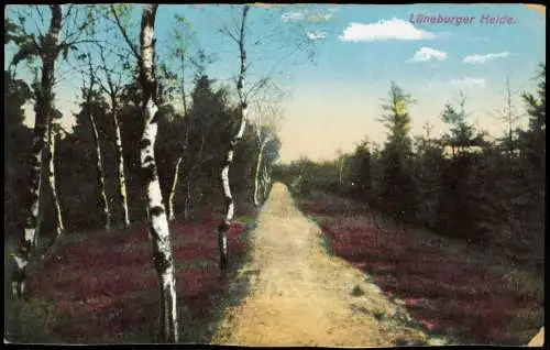 Ansichtskarte .Niedersachsen Lüneburger Heide Birken am Wegesrand 1914