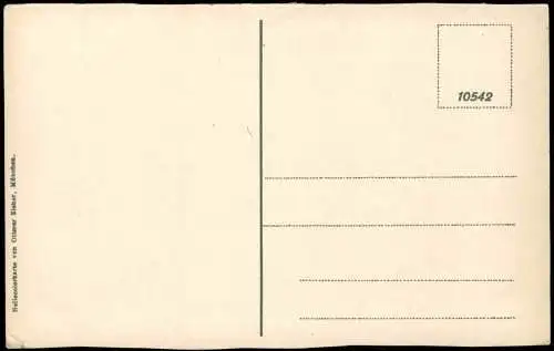 Ansichtskarte .Niedersachsen Lüneburger Heide Birken am Wegesrand 1914