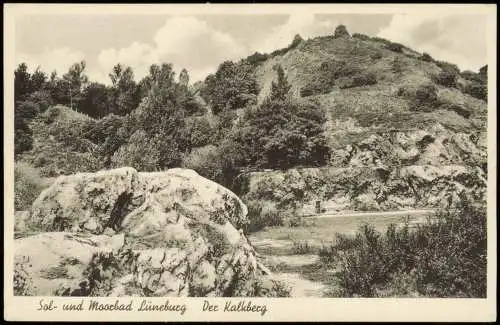 Ansichtskarte Lüneburg Der Kalkberg 1938