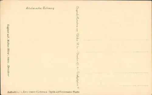 Ansichtskarte Rathen Fähre - Abenstimmung 1927 Walter Hahn:2393