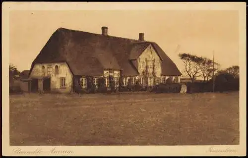 Ansichtskarte Nebel (Amrum) Steenodde Friesenhaus 1922