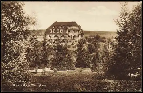 Ansichtskarte Bad Brambach Stadtteilansicht Blick auf Hotel Weidighaus 1927