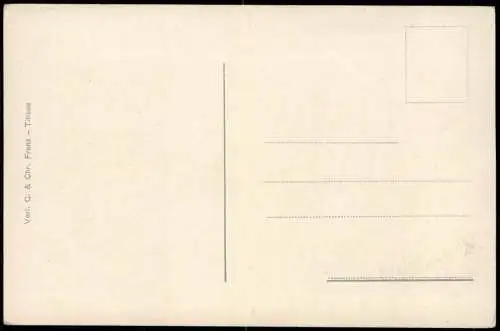 Feldberg (Schwarzwald) Feldberg Seebuck Bismarkdenkmal Stimmungsbild 1914