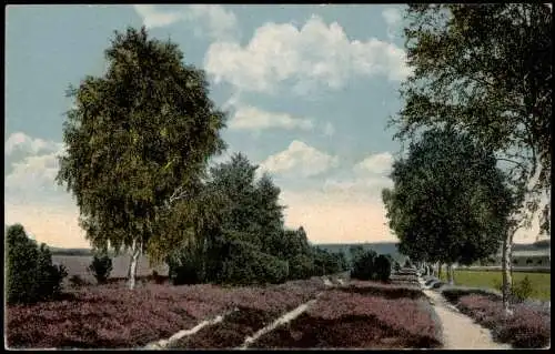 Ansichtskarte Behringen-Bispingen Lüneburger Heide. Weg Volkwardingen 1914