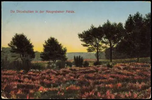 Ansichtskarte .Niedersachsen Die Diebskuhlen in der Neugrabener Heide 1910