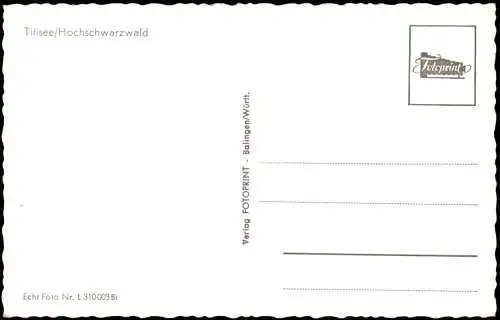 Ansichtskarte Titisee-Neustadt Umland-Ansicht Titisee Hochschwarzwald 1955